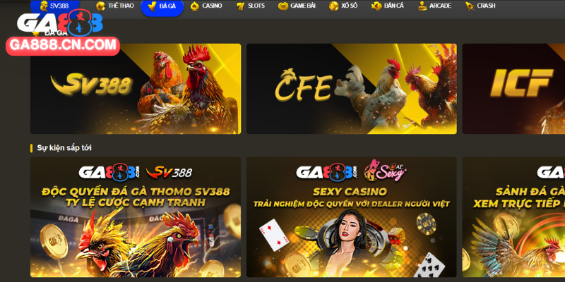Đá gà online trực tiếp từ Thomo