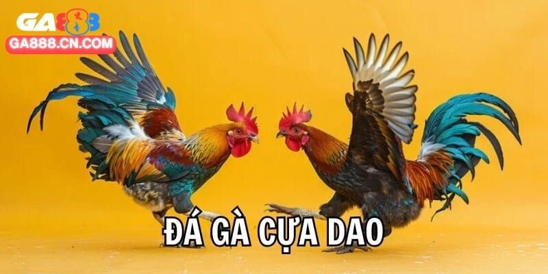Miễn phí 100% chi phí khi theo dõi live